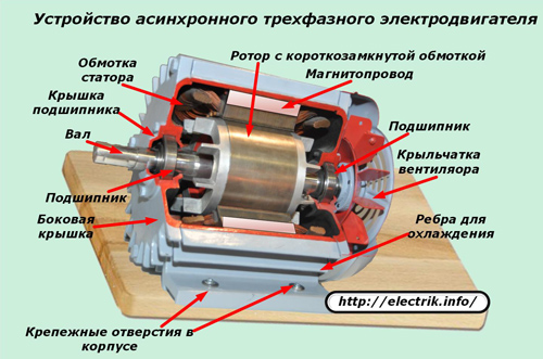 Устройство асинхронного трехфазного электродвигателя