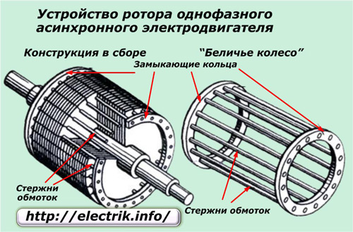 Устройство ротора асинхронного электродвигателя