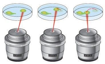 Оптический пинцет на основе лазера